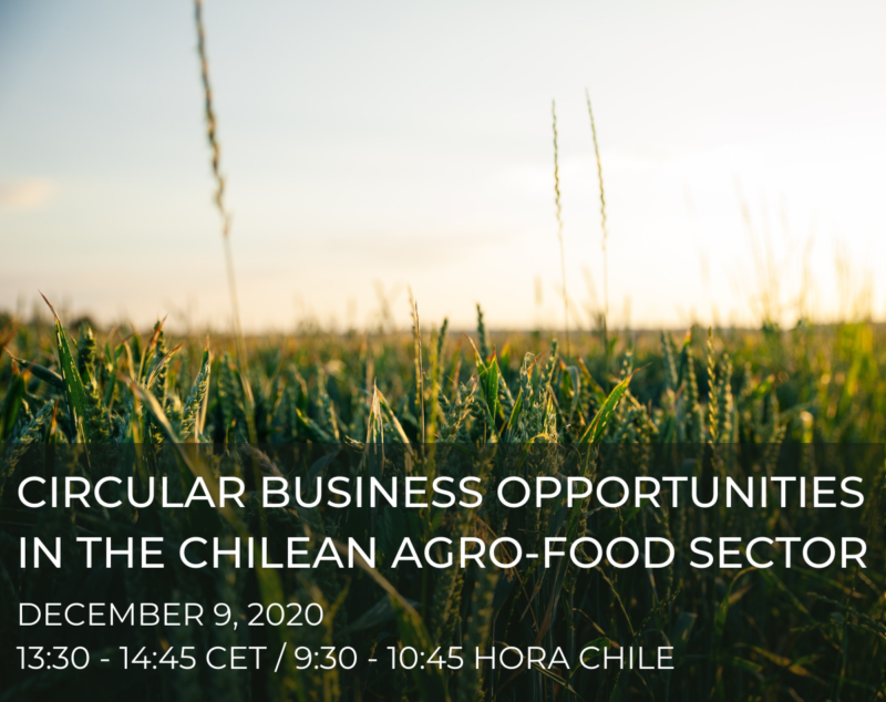 Circular Business Opportunities in the Chilean Agro-Food Sector