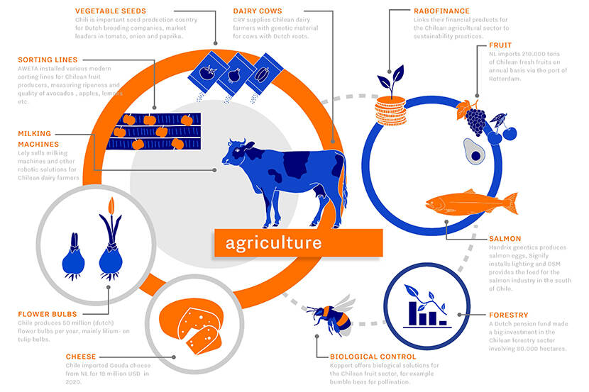 Im- en exportstromen tussen Chili en Nederland