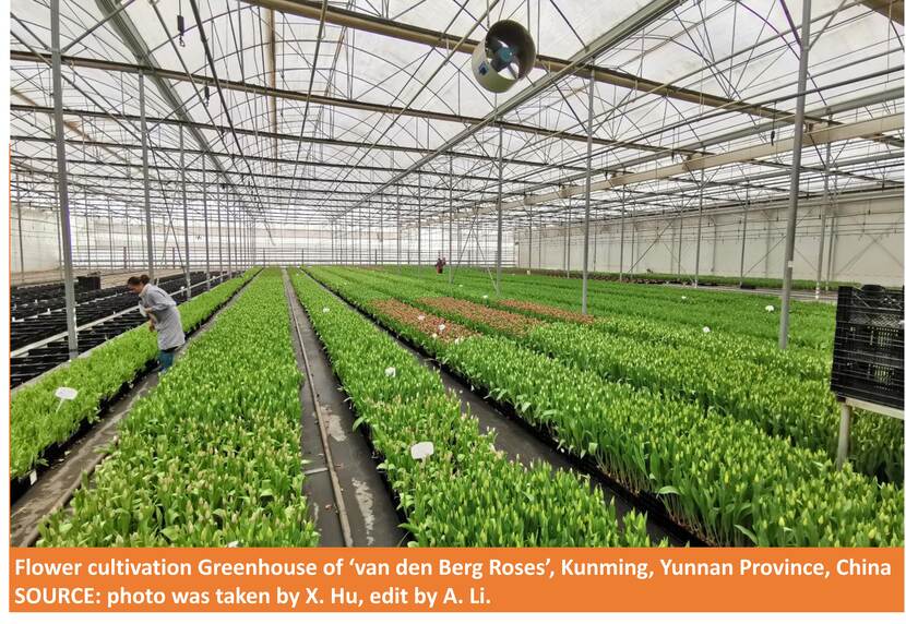 Flower cultivation greenhouse
