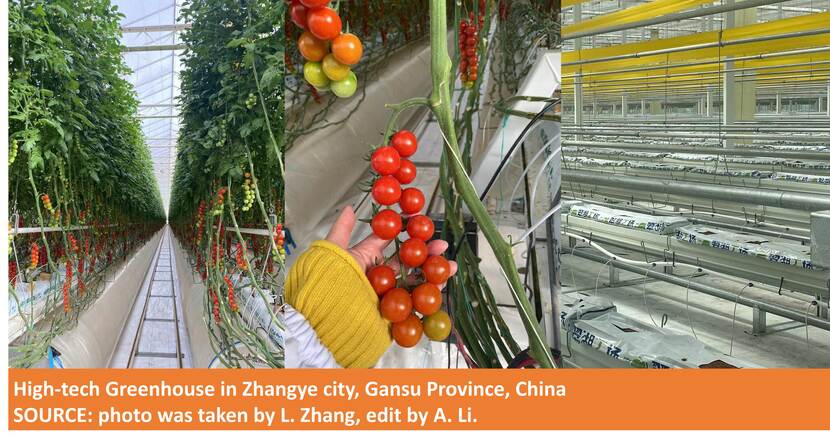 High tech greenhouse China