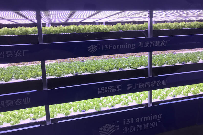 Hal met ‘vertical farming’ van IT-bedrijf Foxconn in Shenzhen