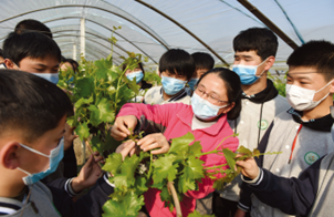 Studenten krijgen voorlichting op een stadlandbouwproject in Guangzhou.
