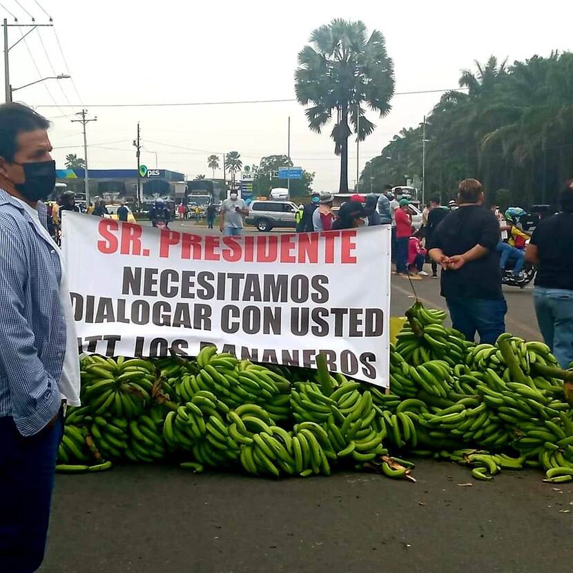 Banana Growers Protest