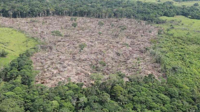 Chiribiquete deforestation