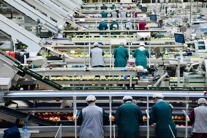 Marktstudie Duitse voedselverwerkende industrie