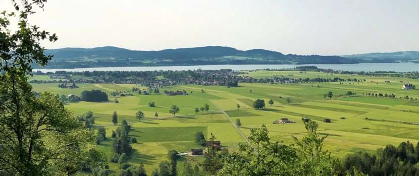 Bavarian fields