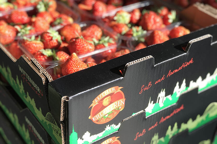 Met de Luther-aardbeien en Luther-tomaten liggen de producten van Wittenberg Gemüse duidelijk herkenbaar in de supermarkt. De producten zijn benoemd naar Maarten Luther, die in de stad Wittenberg zijn reformatie publiceerde.