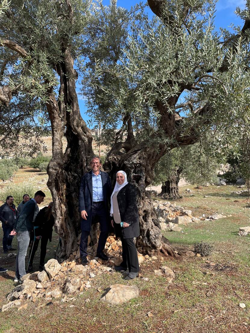 Werkbezoek van Tycho Vermeulen met Suha Albitar bij eeuwenoude olijfbomen in Jordanië