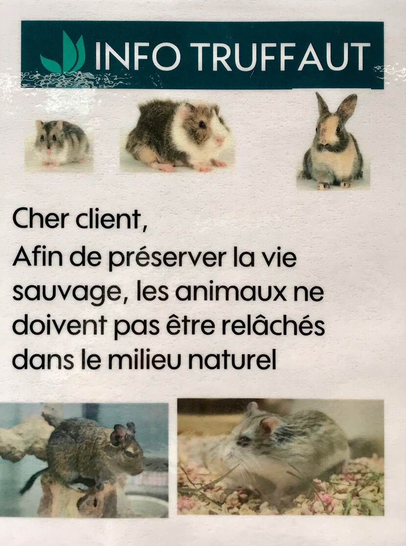 FR Dierenbescherming_comunicatie