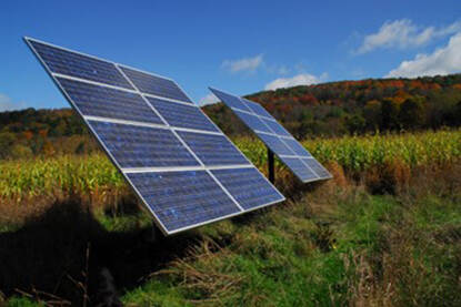 Agrovoltaïsme biedt schaduw en schone energie.