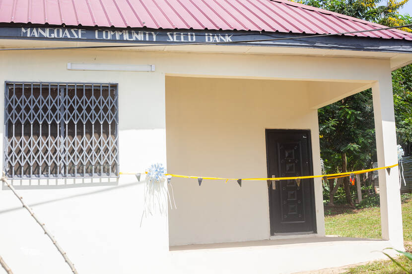 Community seed bank