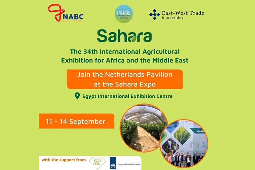 Sahara Expo