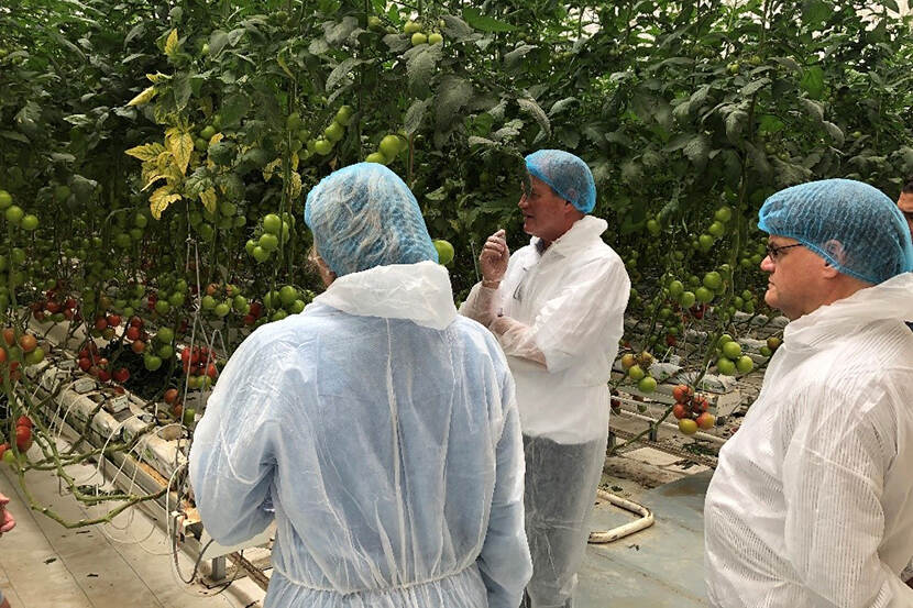 Gerard Bakker, Inspecteur Generaal, van de NVWA en landbouwraad Erik Smidt in een hightech kas in Al Kharj bij Riyad (juni 2022).