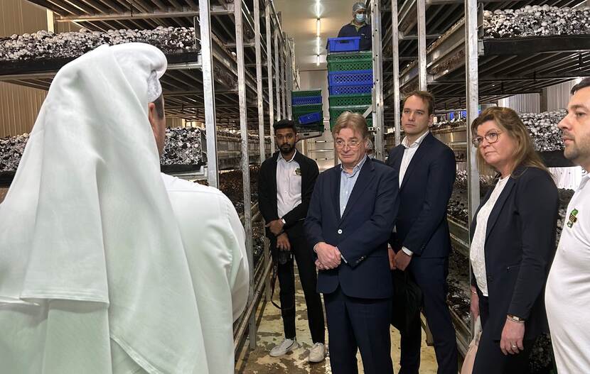 Bezoek van minister voor Natuur en Stikstof Christianne van der Wal aan een biologisch Qatar Agrico, een agrarisch bedrijf in Qatar dat champignons teelt met gebruik van Nederlandse kennis en technologie.