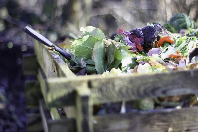 A close-up of a garden compost box