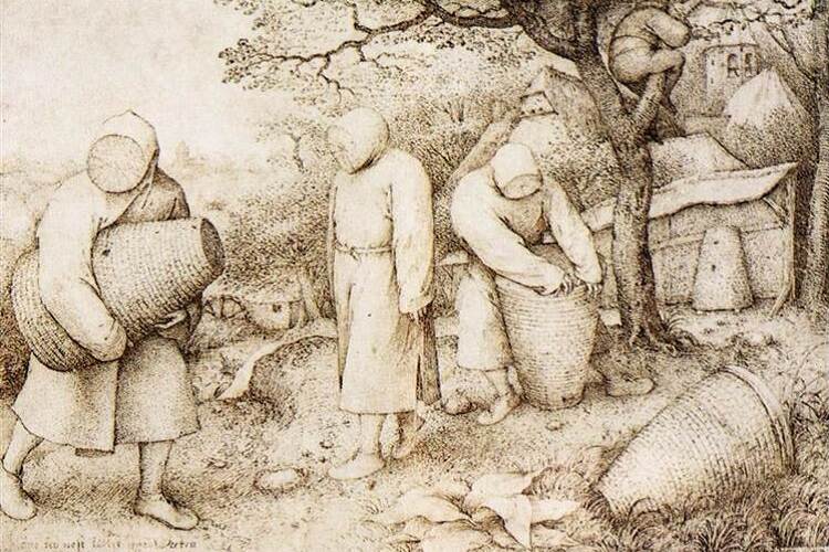 The artwork "The Beekeepers and the Birdnester" by Pieter Bruegel the Elder