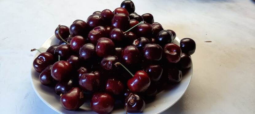A bowl of ripe, crimson cherries.