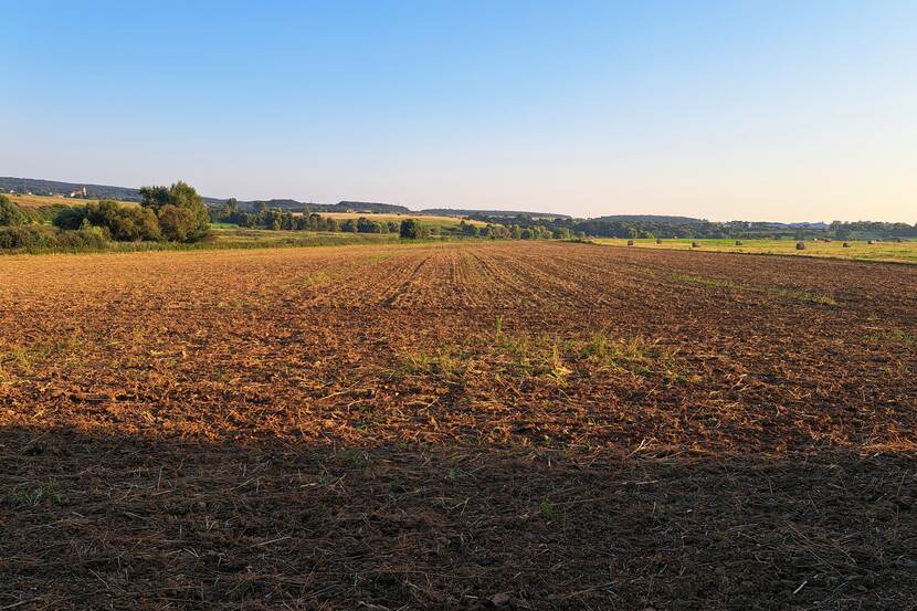 Farmland, already harvested of cereal crops, can be seen. It is late afternoon, pale sunlight casts long shadows. Rolling hills covered in woods can be seen far in the background, as well as the white bell tower of a temple in a village in the distance.