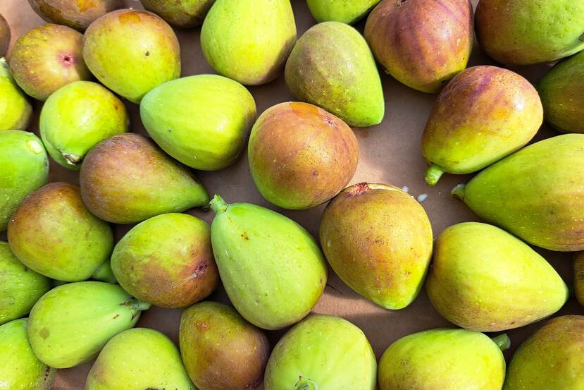 Close-up photo of freshly picked, ripe figs in a paper box.