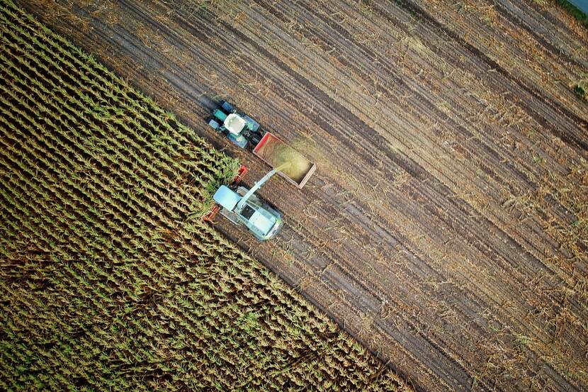 Harvest in a field