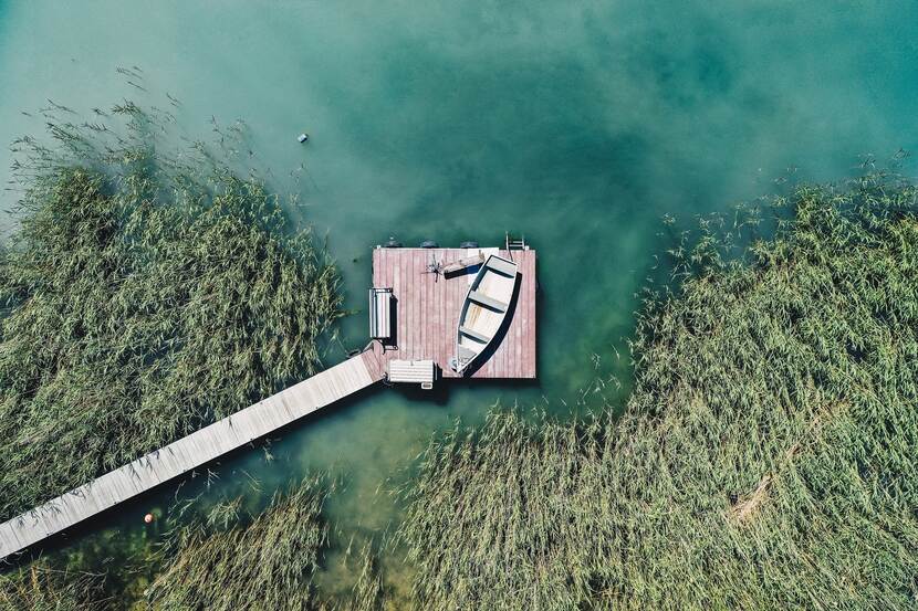 Aerial photo of the reed area on the shore of Lake Balaton. A narrow walkway connects to a small pier with a rowing boat resting on it.