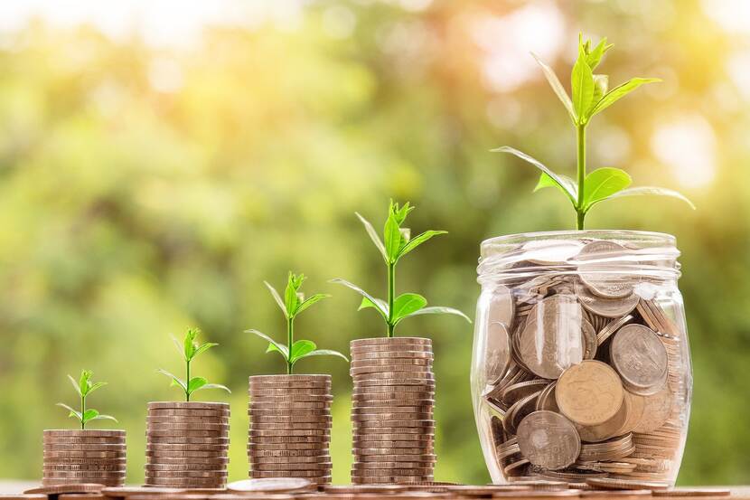 Plant saplings on top of stacks of coin.