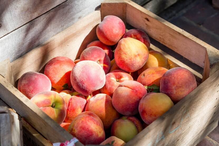 A crate of peaches in the sunshine of a summer afternoon