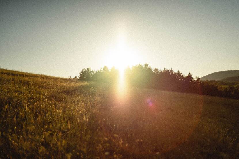 Artistic picture of the rising sun with its beams breaking through a grove of trees nearby a dry meadow