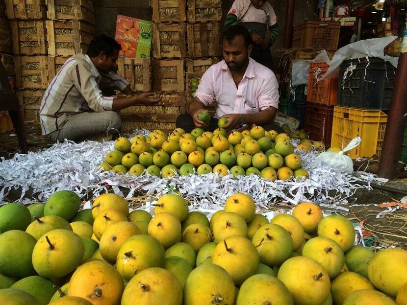 Fresh fruits India