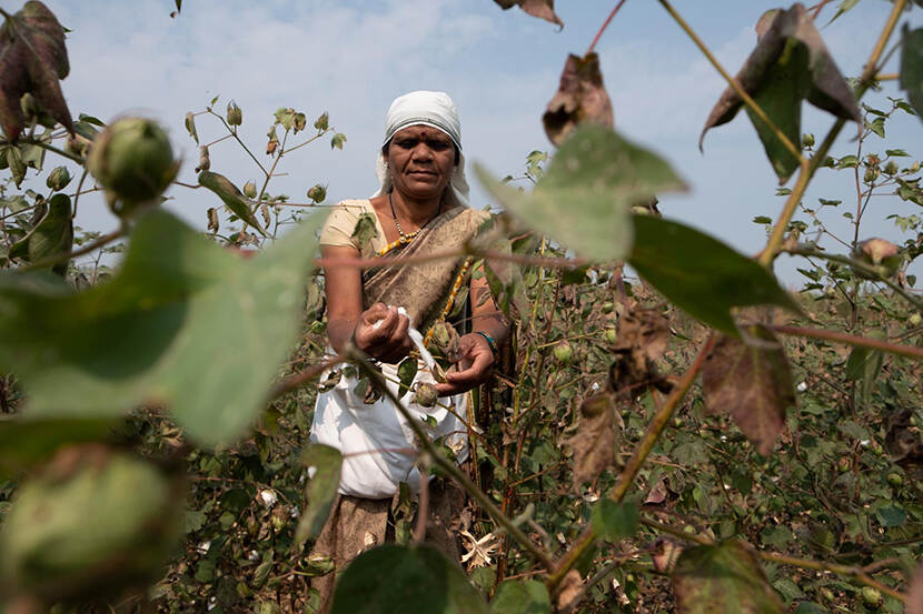 Landbouwer in India