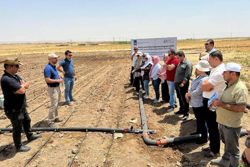 Trainings- en demonstratieproject op het gebied van beschermde groenteteelt.