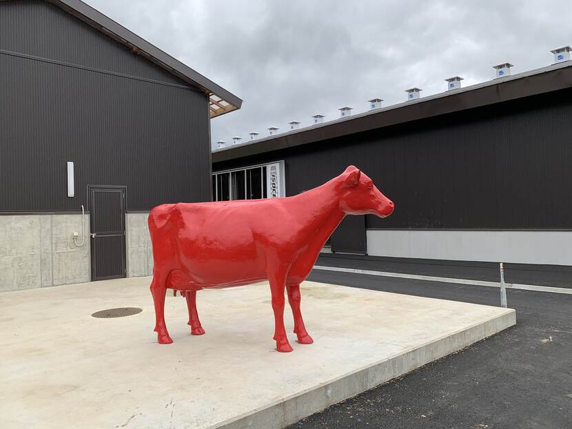 The red cow statue that stands just outside the farm is a gift from Lely