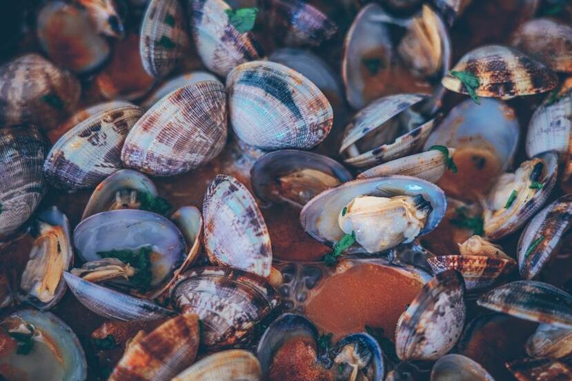 Asari clams