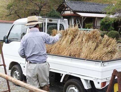 Light truck with a rice farmer