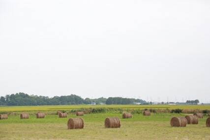 Rolled grass in Hokkaido