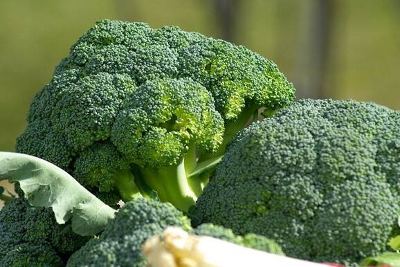 Broccolis resized