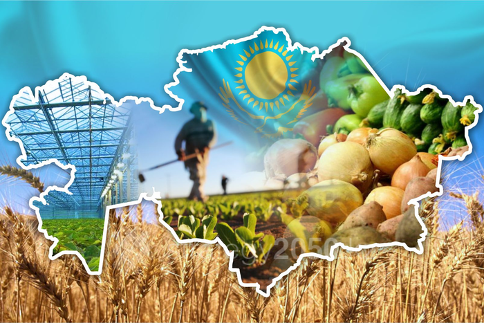 agriculture in kazakhstan presentation
