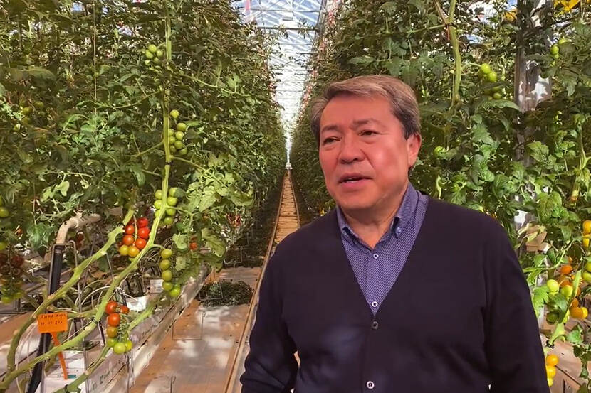 Nurlan Adilkhan, president Greenhouses Union of Kazakhstan