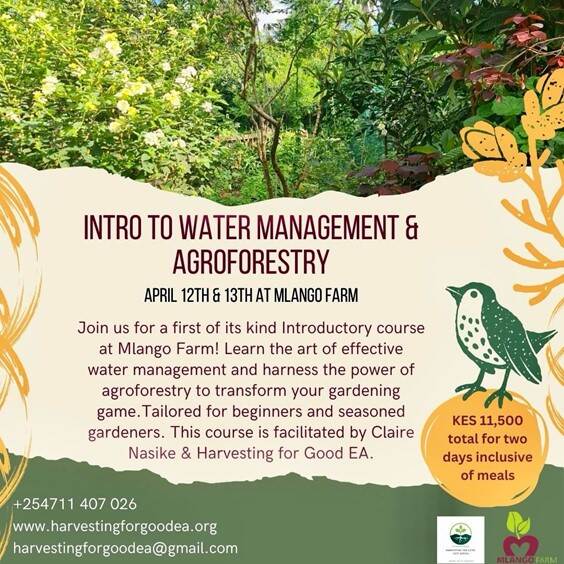 Kenya: Intro to Water Management and Agroforestry
