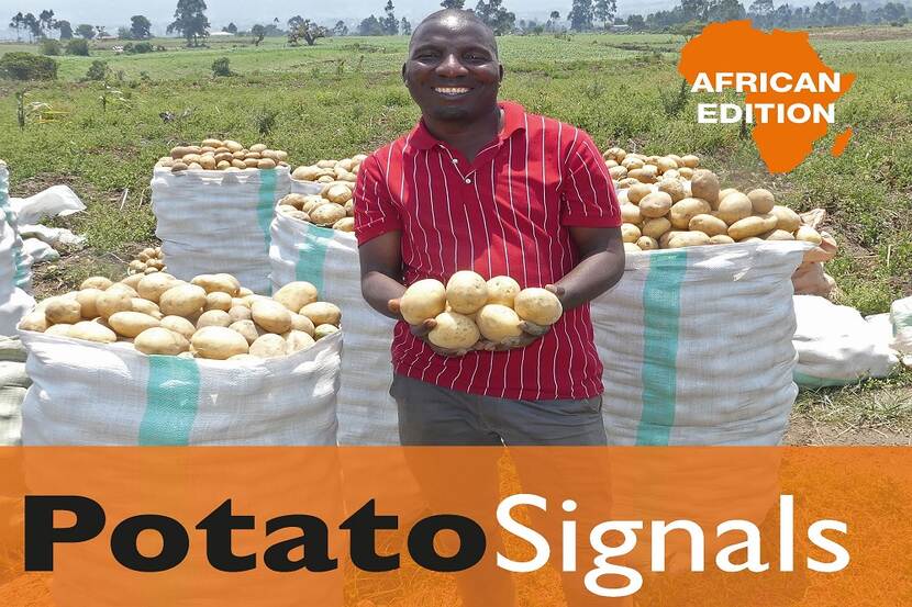 Potato Signals Africa cover