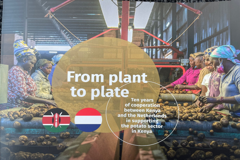 From plant to plate - cover