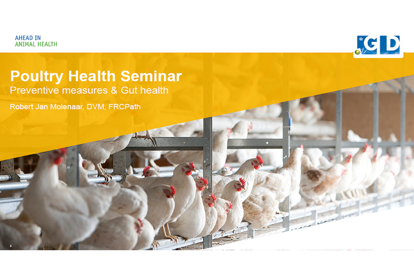 Poultry Health Seminar presentation by Royal GD Animal Health