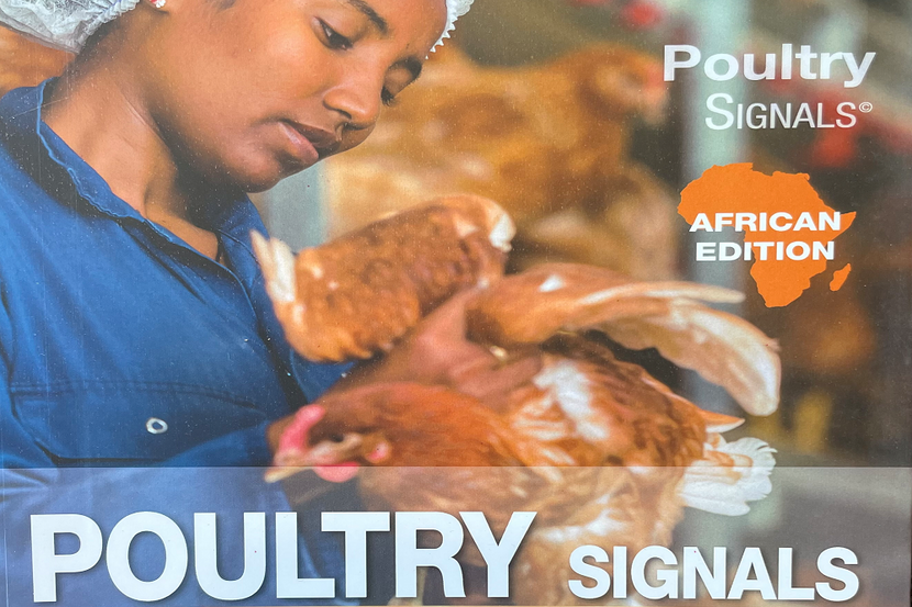 Poultry Signals - African Edition cover