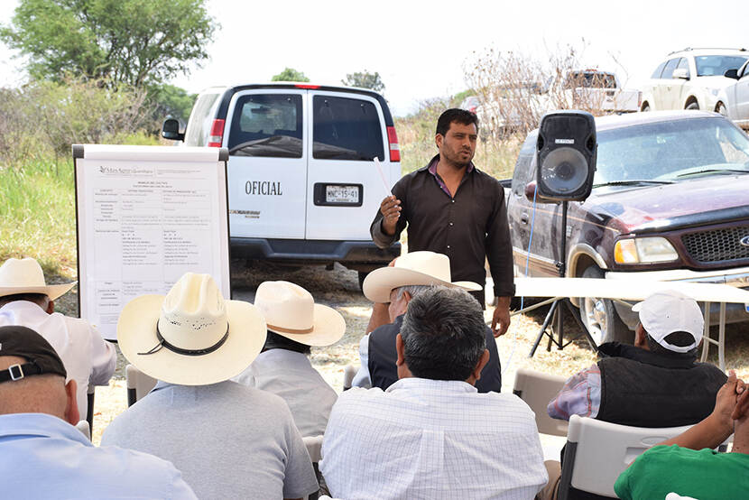Veldtraining aan Mexicaanse boeren door CIMMYT-medewerkers