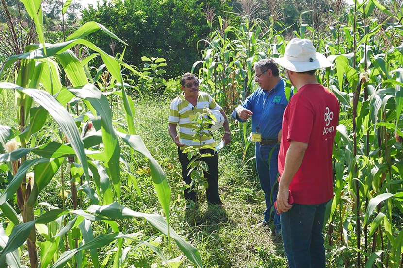 Projectbezoek van reNature in Yucatan