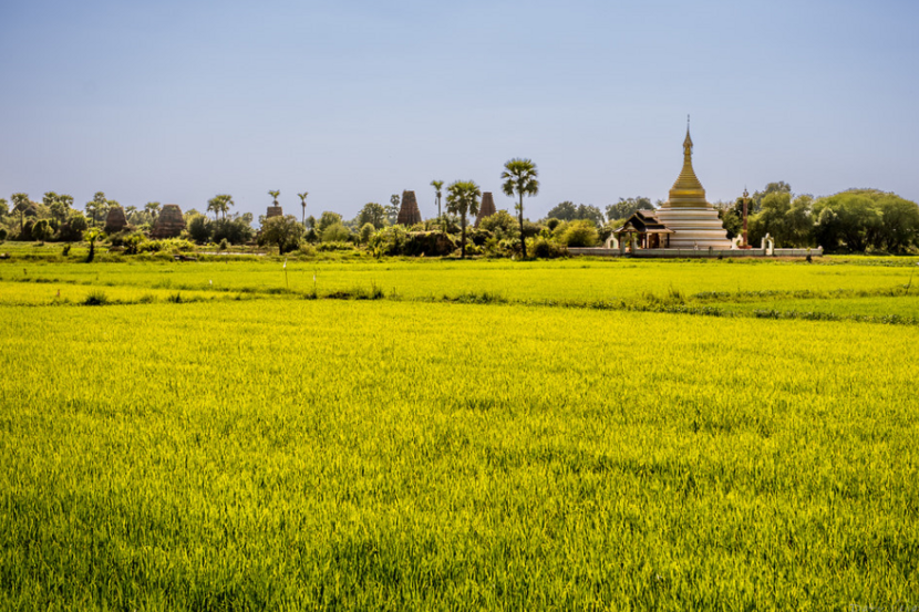 Farmland Myanmar