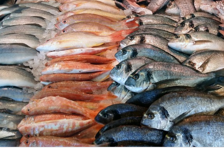 raw fish market