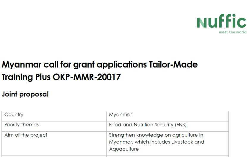 Nuffic TMT plus call for Myanmar