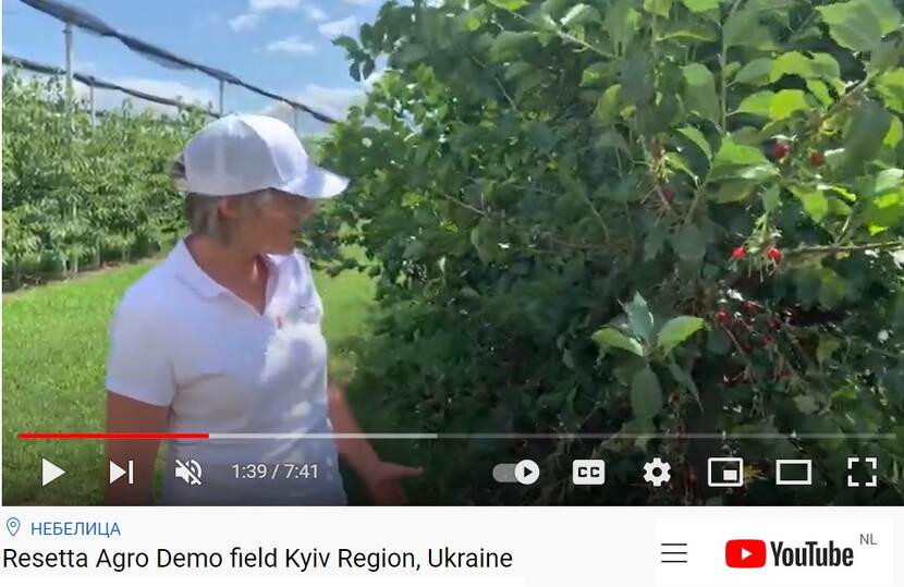 Roseta Agro demo Field Ukraine