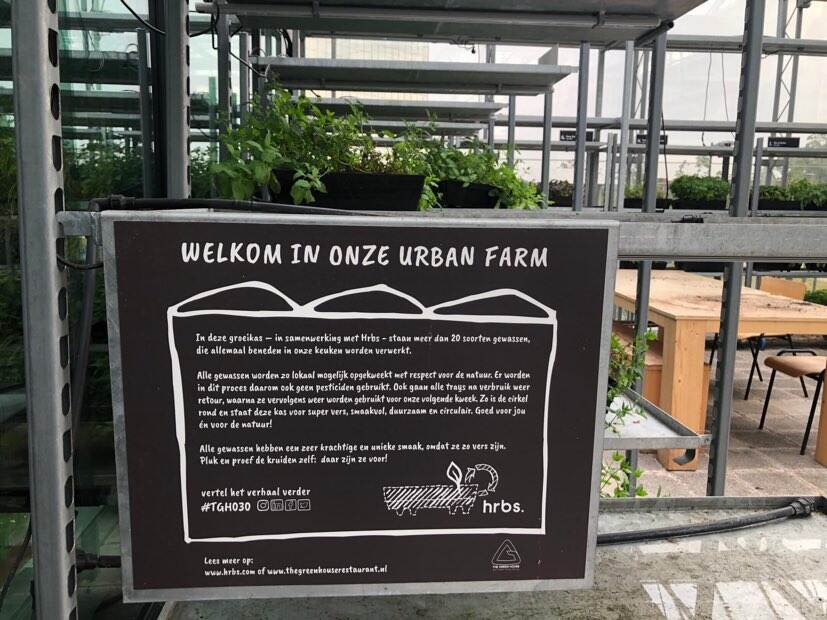Greenhouse restaurant Utrecht - urban farm